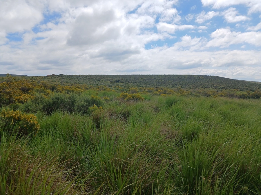 0 Bedroom Property for Sale in Richmond Rural Northern Cape